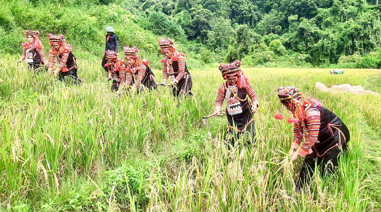 giúp nhau ngày công lao động